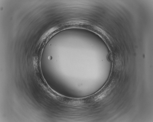 X0000062170778200512091429