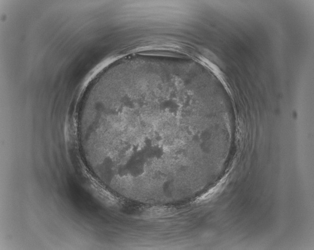 X0000062170779200512091429