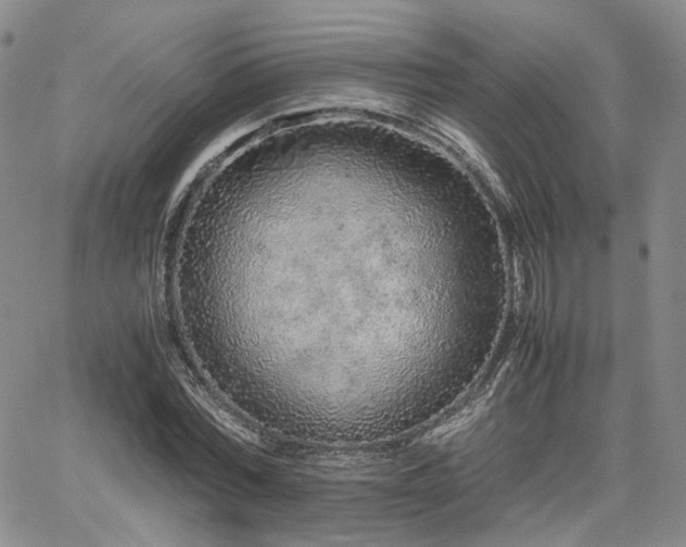 X0000062170780200512091429