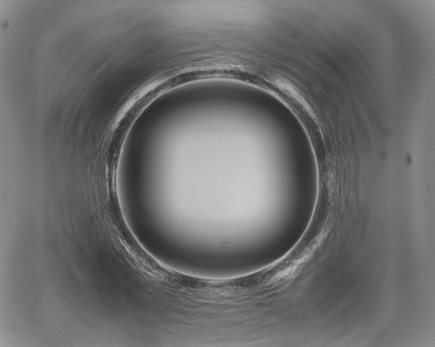 X0000062170781200512091429