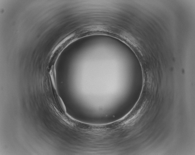 X0000062170782200512091429