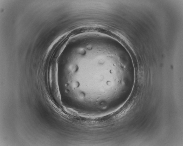 X0000062170783200512091429