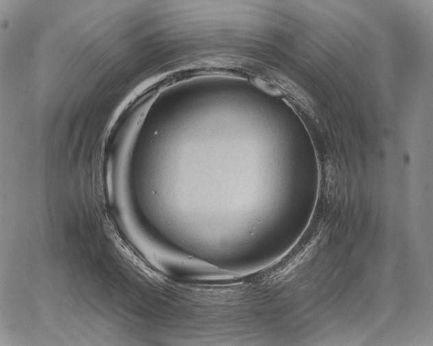 X0000062170784200512091429