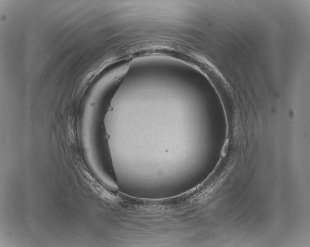 X0000062170785200512091429