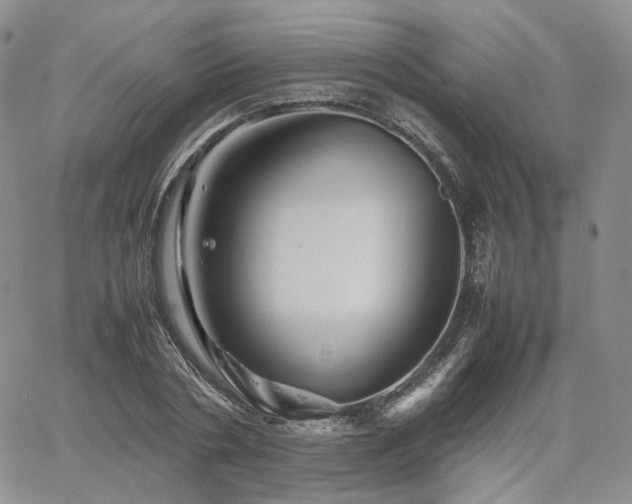 X0000062170786200512091429