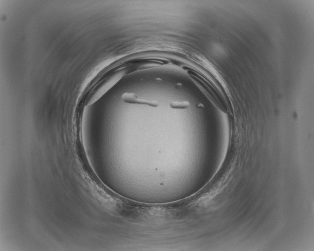 X0000062170787200512091429