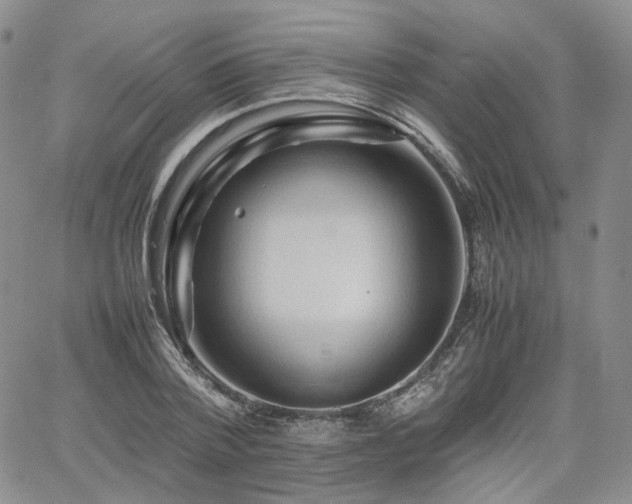 X0000062170788200512091429