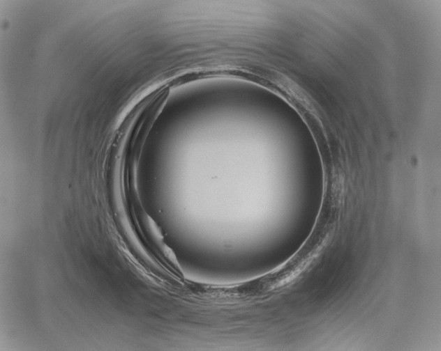 X0000062170789200512091429