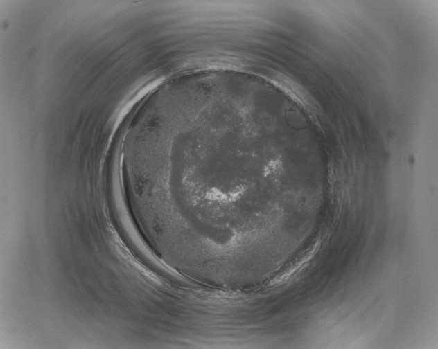 X0000062170790200512091429