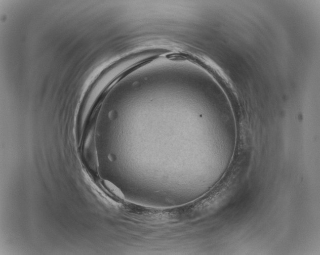 X0000062170791200512091429