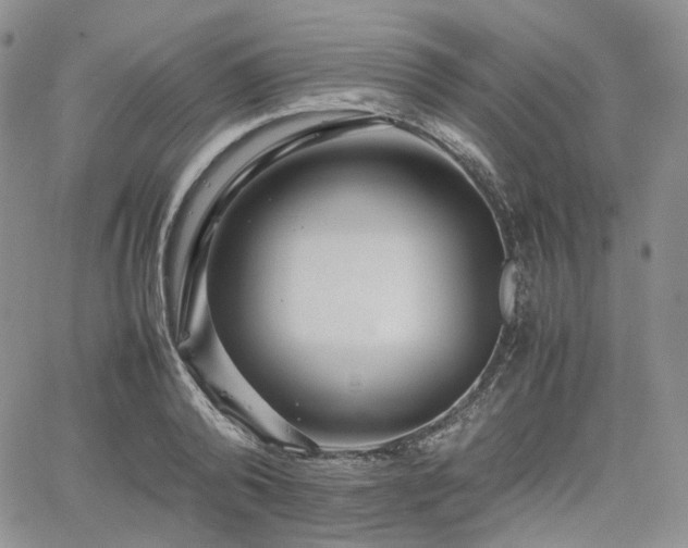 X0000062170792200512091429