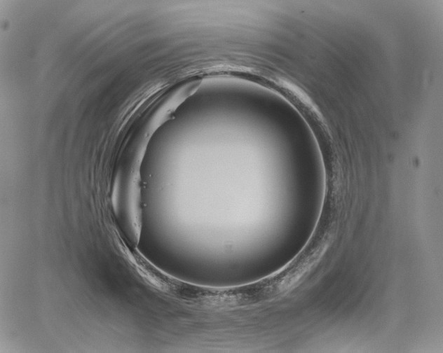 X0000062170793200512091429