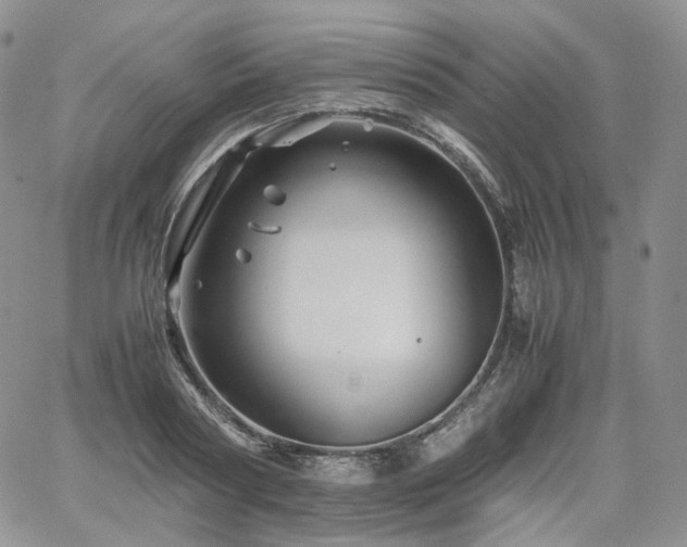 X0000062170794200512091429