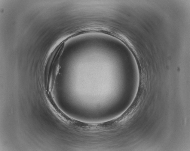 X0000062170795200512091429