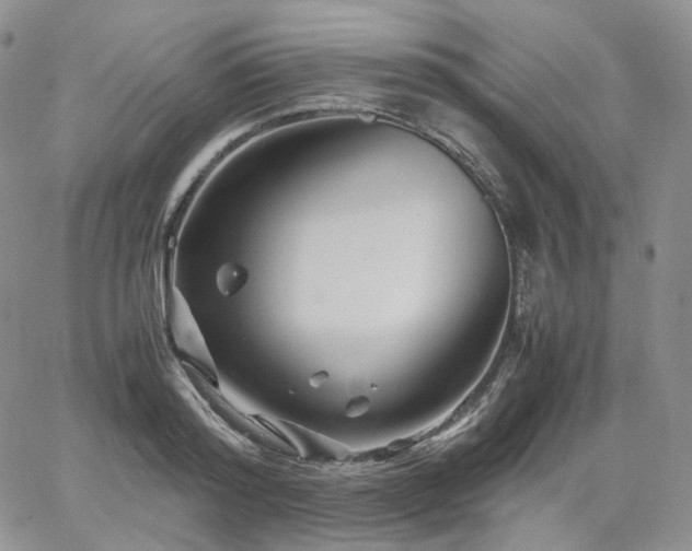 X0000062170796200512091429