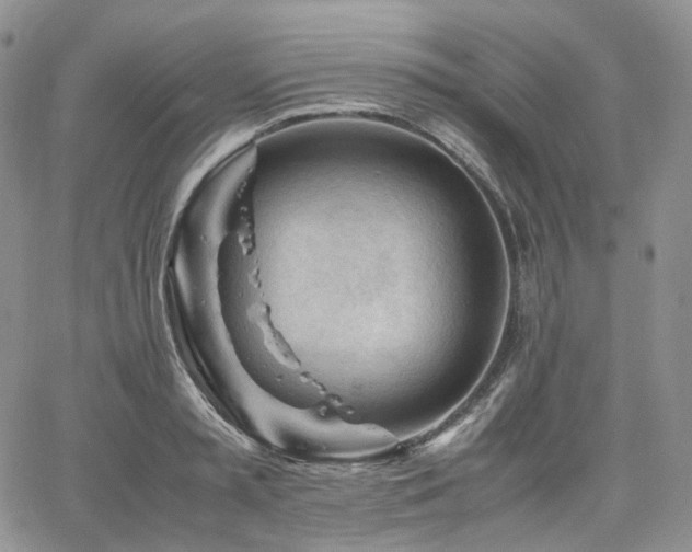 X0000062170797200512091429