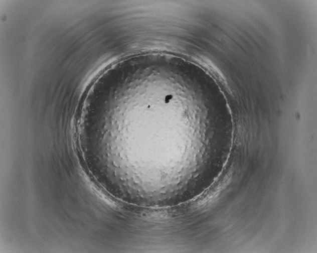 X0000062170798200512091429