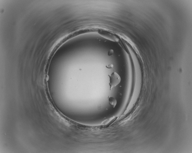 X0000062170799200512091429