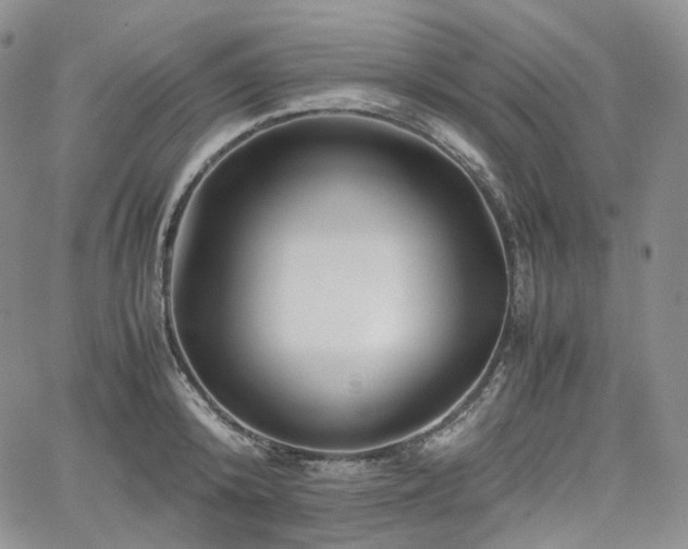 X0000062170800200512091429