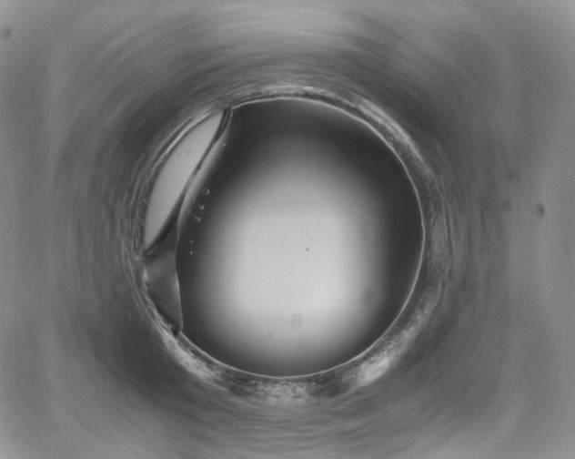 X0000062170801200512091429