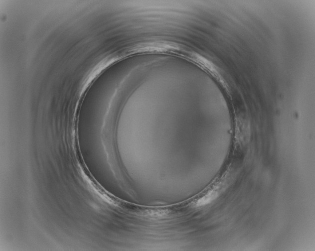 X0000062170802200512091429