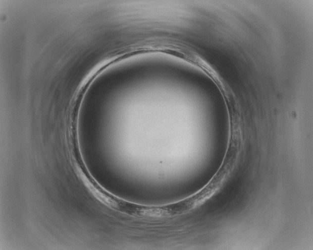 X0000062170803200512091429