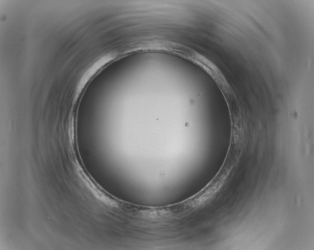 X0000062170804200512091429