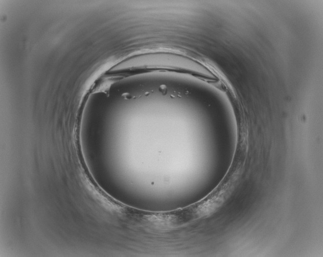 X0000062170805200512091429