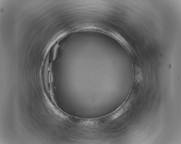 X0000062170806200512091428