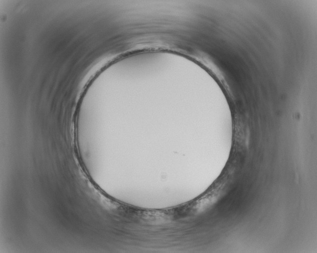 X0000062170807200512091428