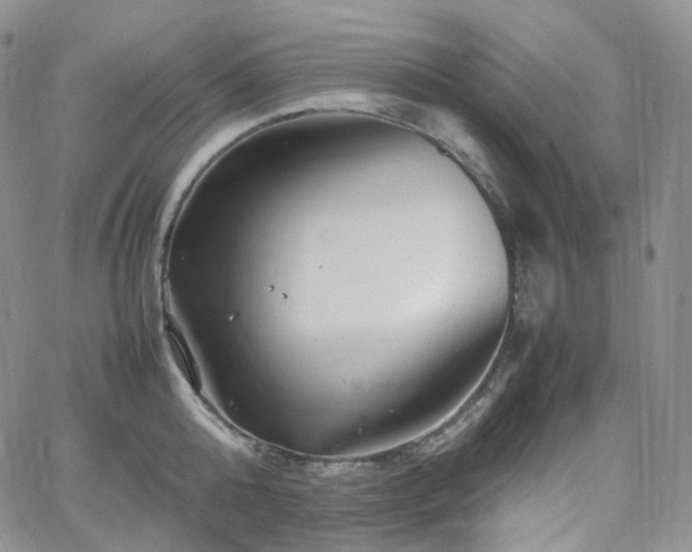 X0000062170808200512091428