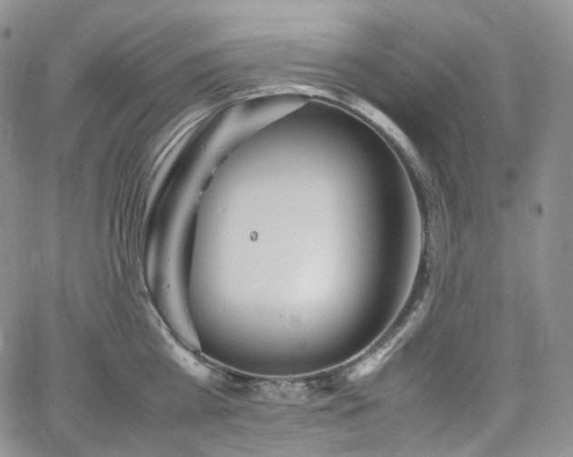 X0000062170809200512091428