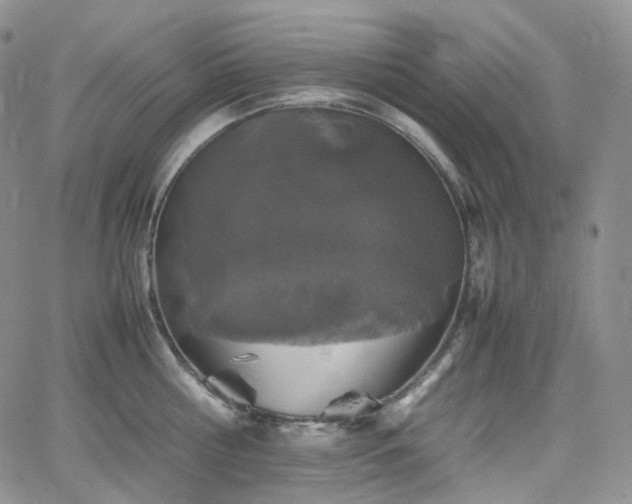 X0000062170810200512091428