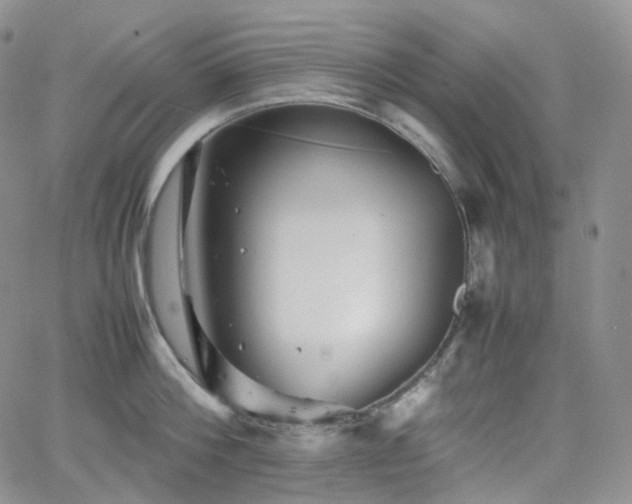 X0000062170812200512091428