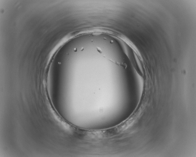 X0000062170813200512091428