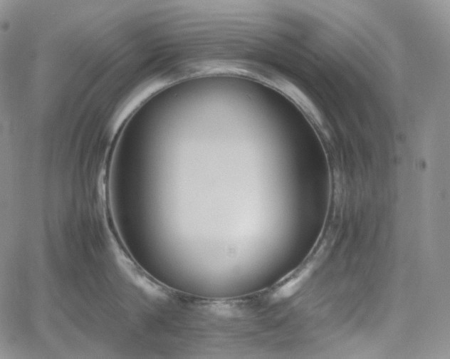 X0000062170814200512091428