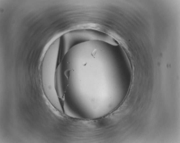 X0000062170816200512091428