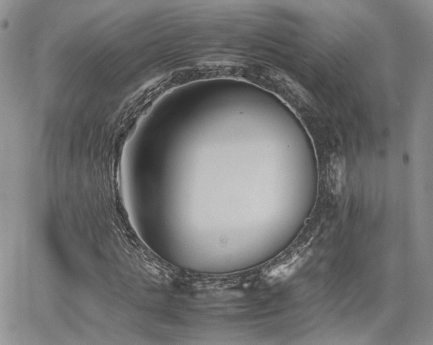 X0000062170821200512091428