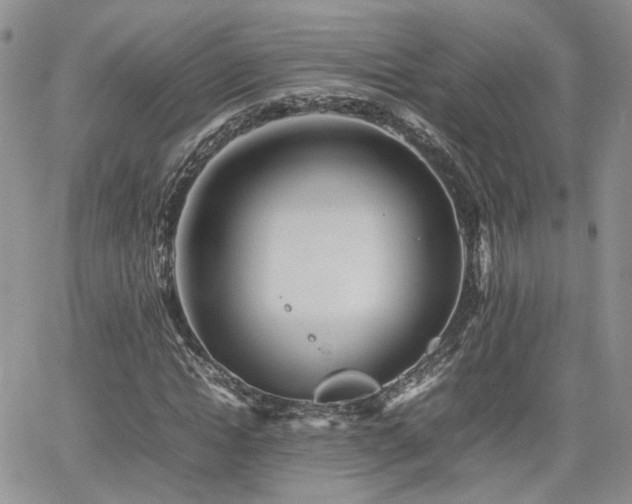 X0000062170822200512091428