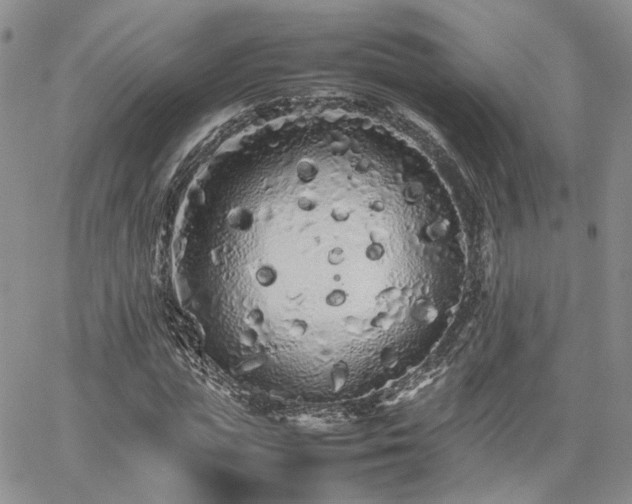 X0000062170823200512091428