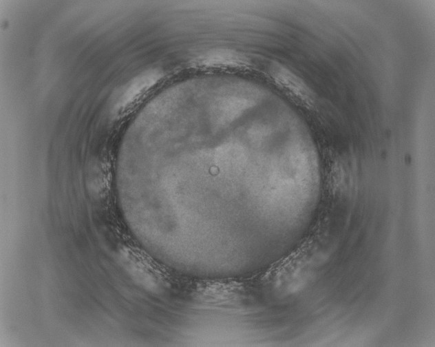 X0000062170824200512091428