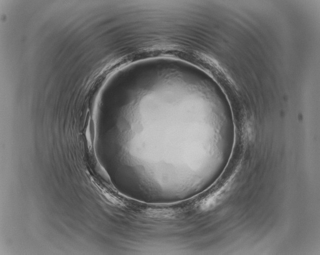 X0000062170825200512091428