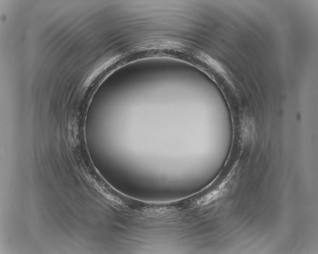 X0000062170826200512091428