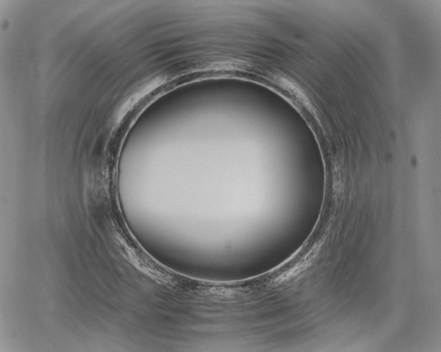 X0000062170827200512091428