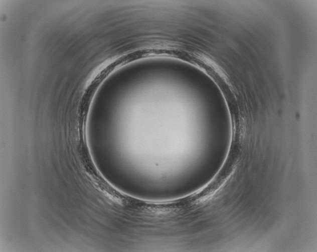 X0000062170829200512091428