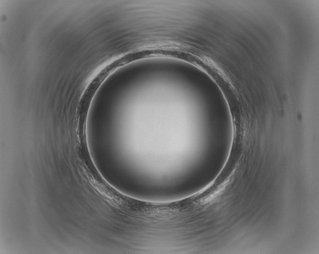 X0000062170830200512091428