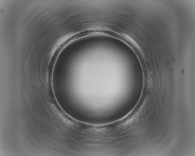 X0000062170831200512091428