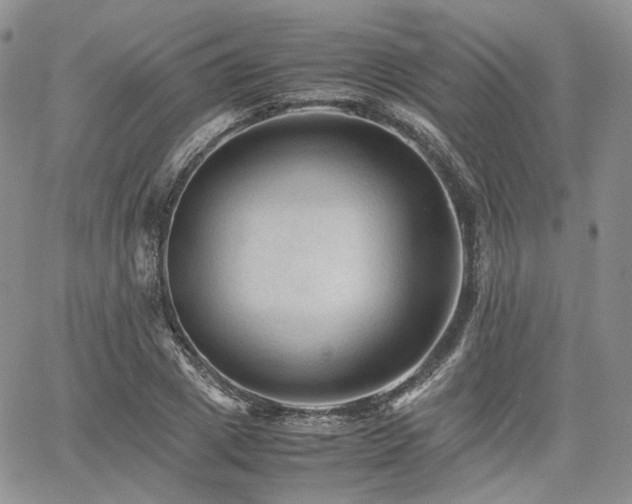 X0000062170833200512091428