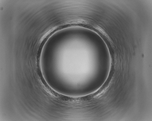 X0000062170834200512091428