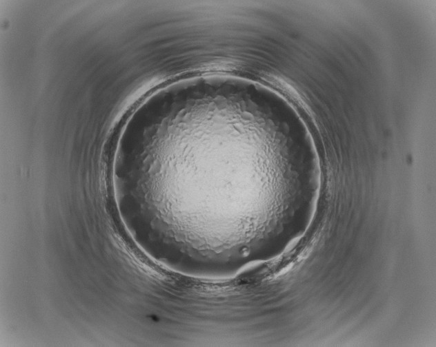 X0000062170835200512091428